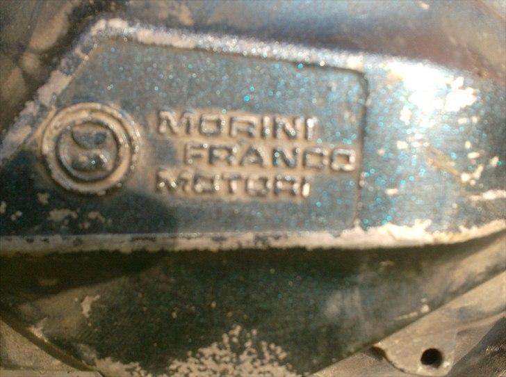 Atala skeggia *Solgt* billede 12