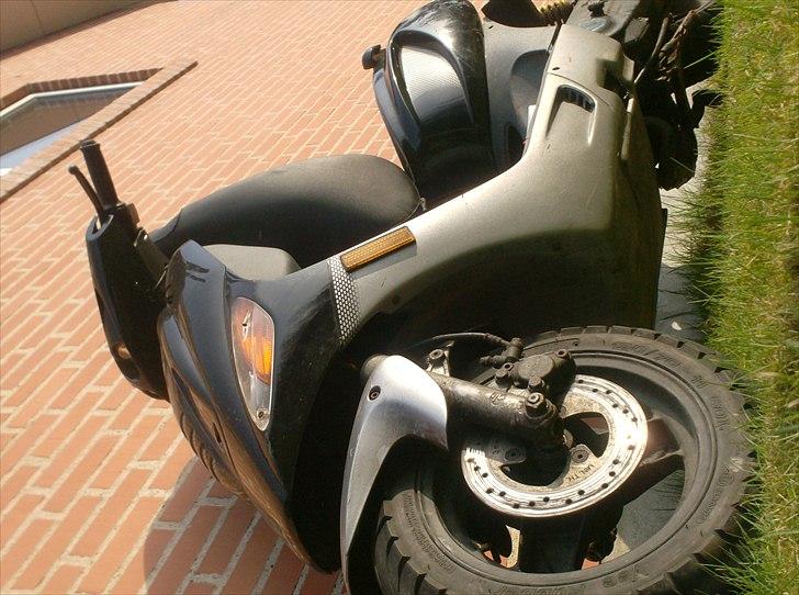 Atala skeggia *Solgt* billede 13