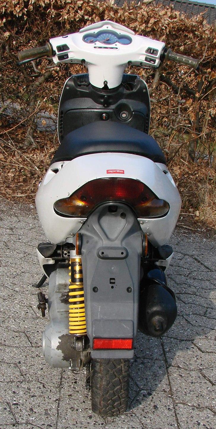 Aprilia Sonic billede 7