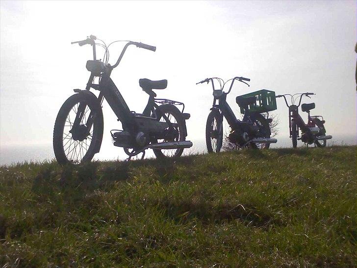 Puch Maxi K billede 9