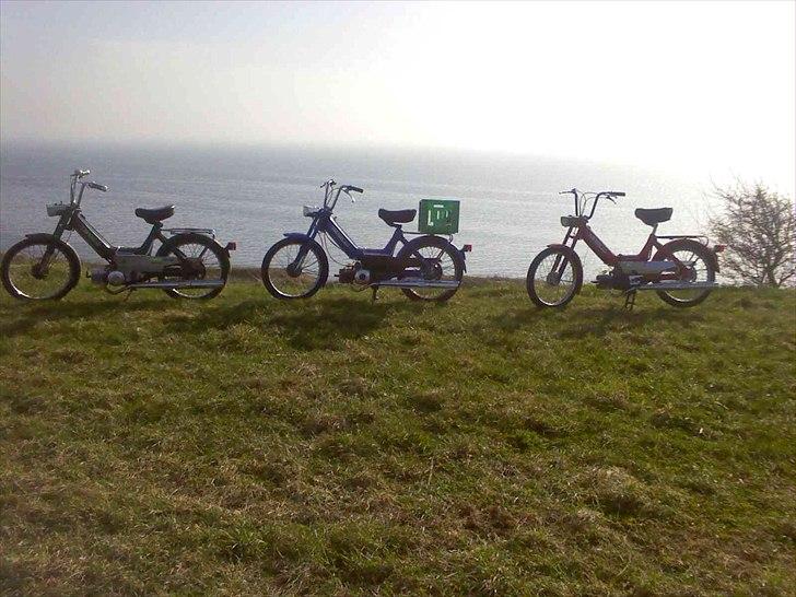 Puch Maxi K billede 8