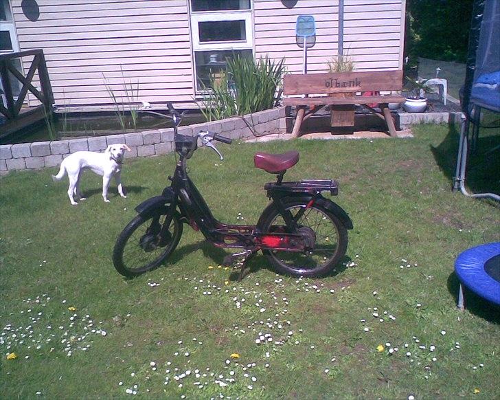 Vespa ciao billede 1