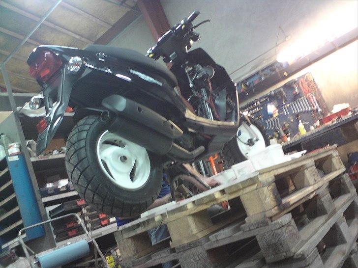 PGO Hot 50    FØR :D - Næsten færdig :P billede 12