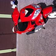 Peugeot speedfight 2 WRC 206