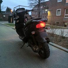 PGO dr big politiet knust