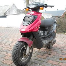 PGO Hot 50  ( solgt )