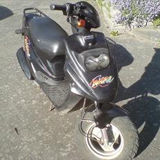 PGO Hot 50  [ SOLGT ]