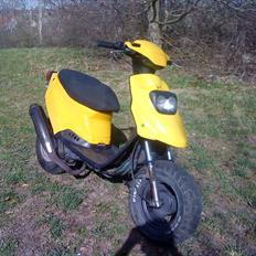 PGO Hot 50 Brumbaass