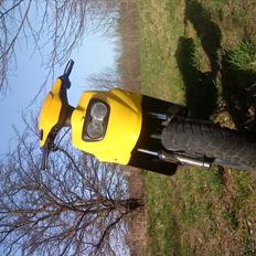 PGO Hot 50 Brumbaass