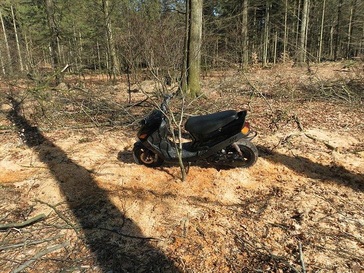 Kreidler Easy Rider S6R Solgt billede 6