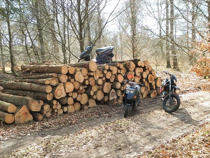 Kreidler Easy Rider S6R Solgt billede 9