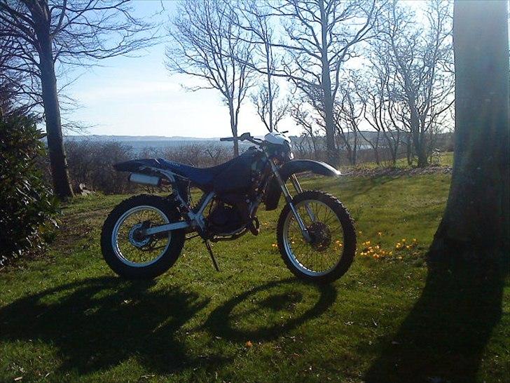 Suzuki RMX billede 4