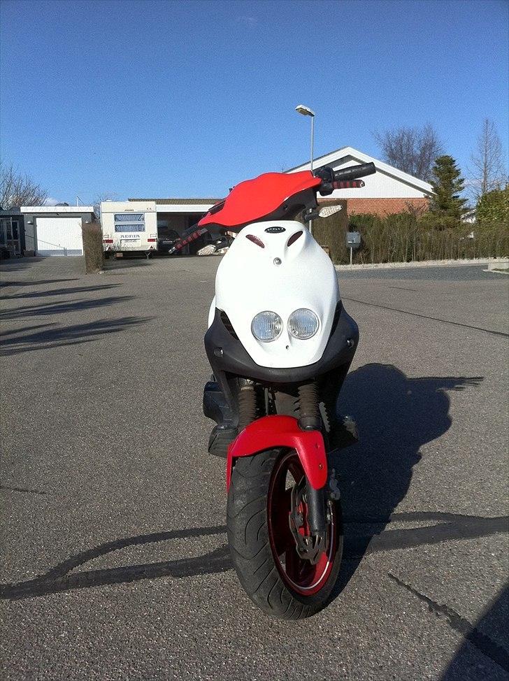 PGO PMX Sport 'No Fear' billede 6