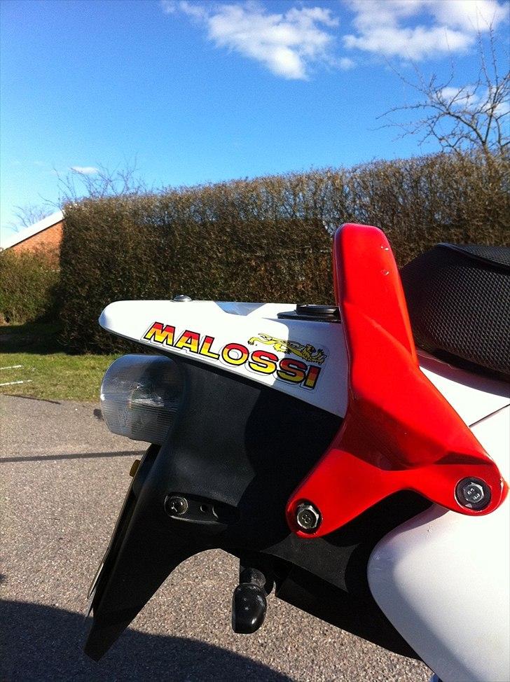 PGO PMX Sport 'No Fear' billede 9