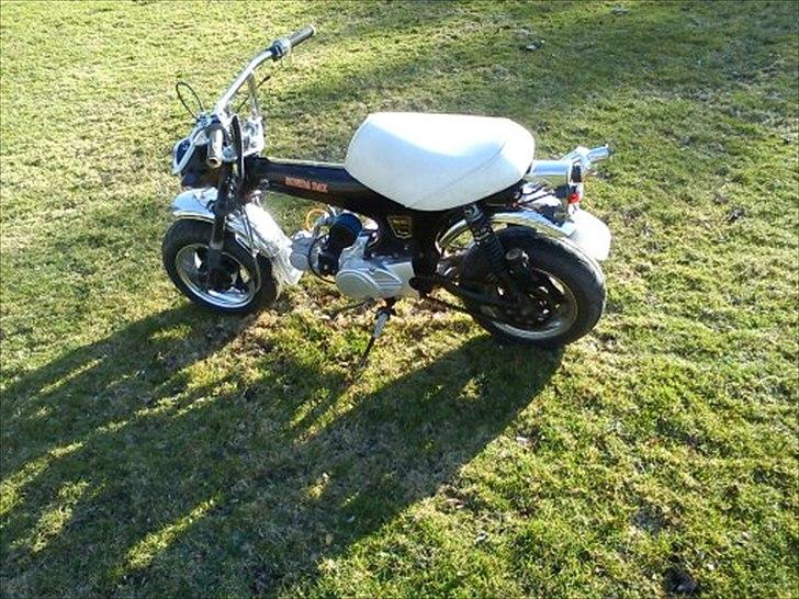 Honda Dax. Den gamle. taget a spasserne billede 10