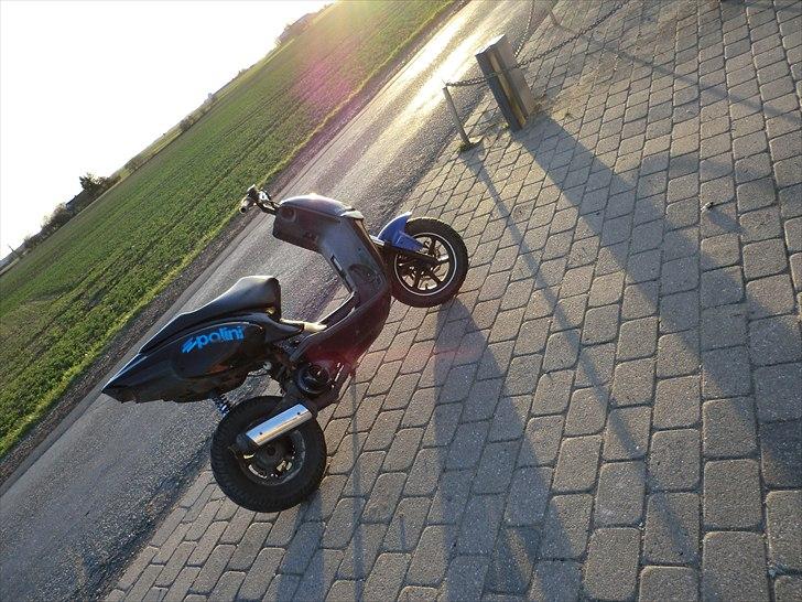 Aprilia rally solgt billede 6