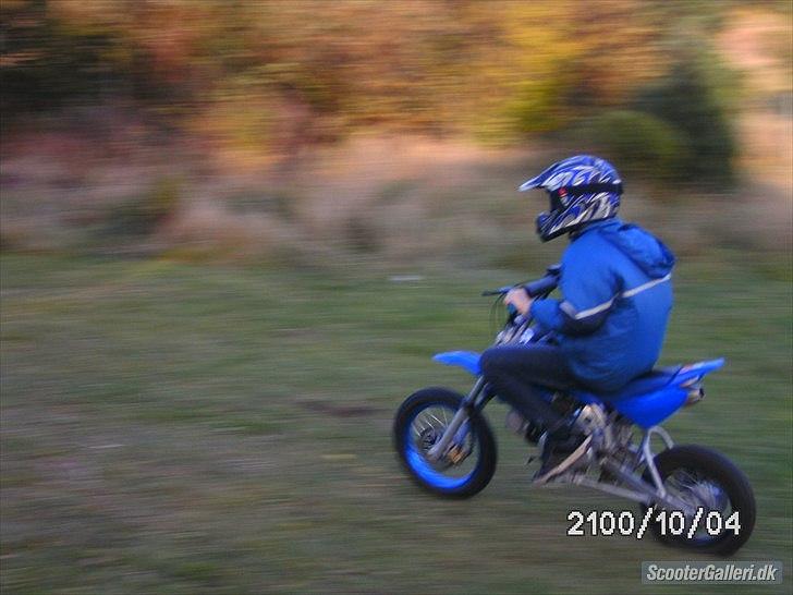 MiniBike 125cc ( solgt for 1900 ) billede 2