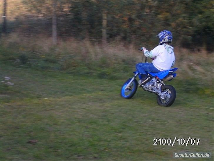 MiniBike 125cc ( solgt for 1900 ) billede 4