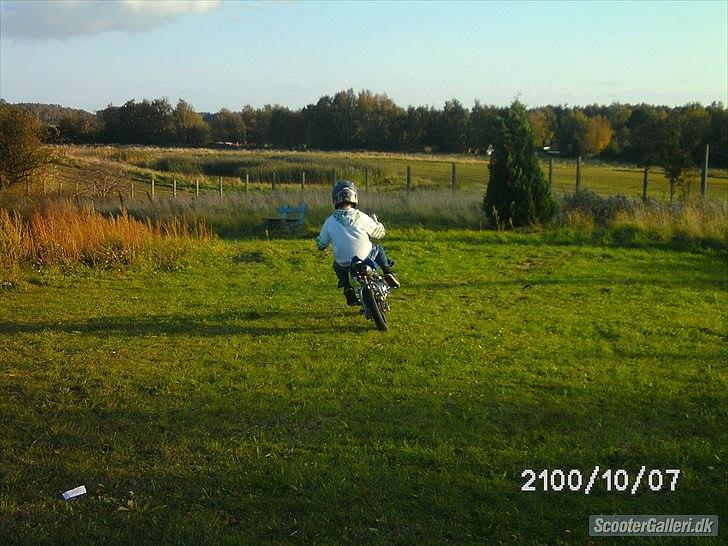 MiniBike 125cc ( solgt for 1900 ) billede 5