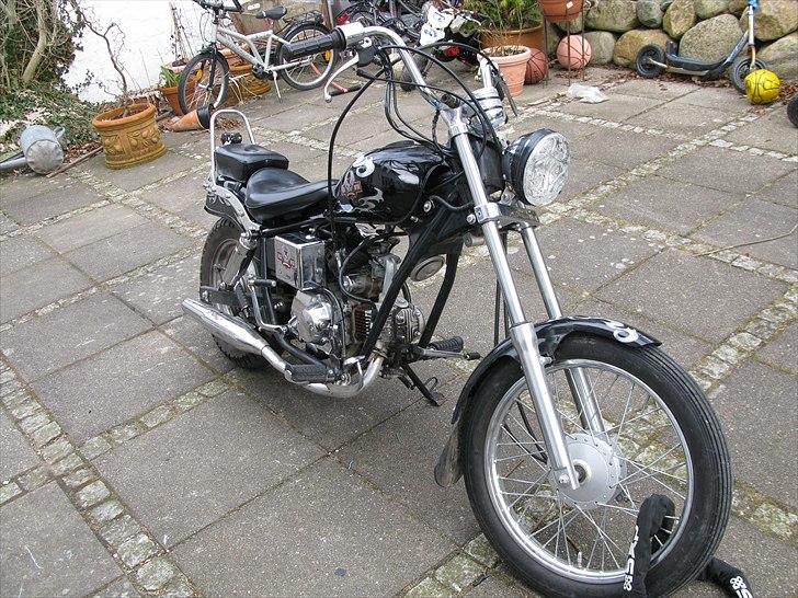 Regal Raptor billede 1