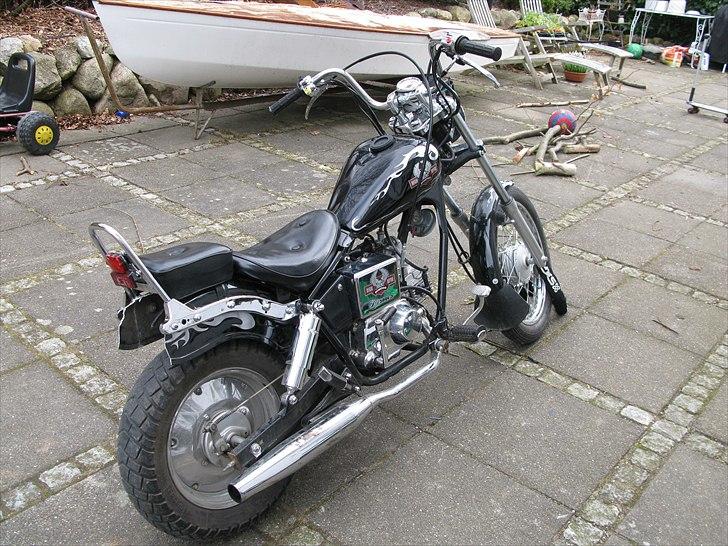 Regal Raptor billede 2