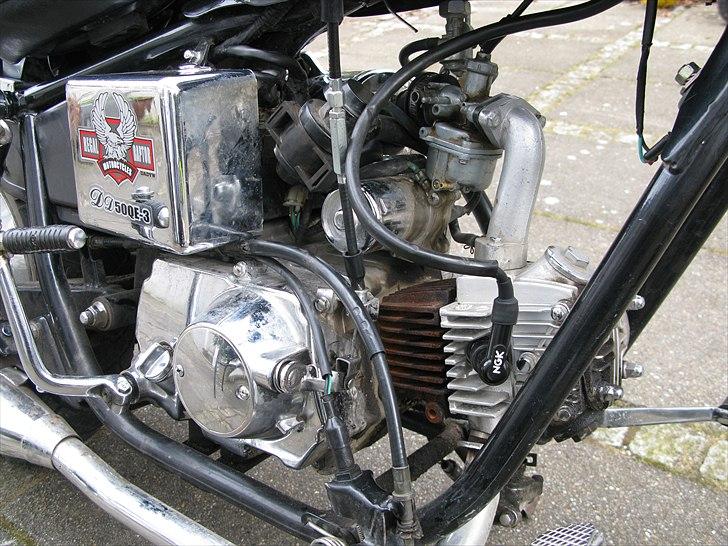 Regal Raptor billede 3