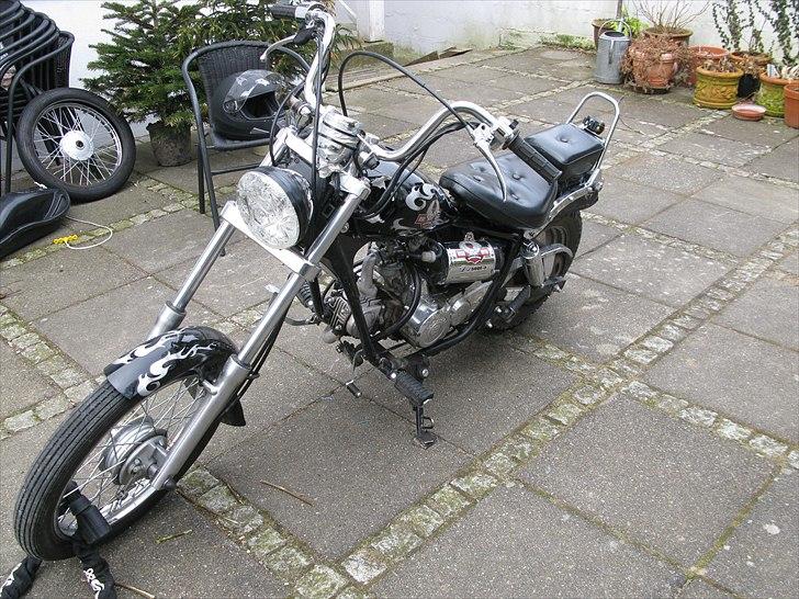 Regal Raptor billede 4