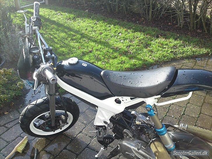 Suzuki street magic   billede 10