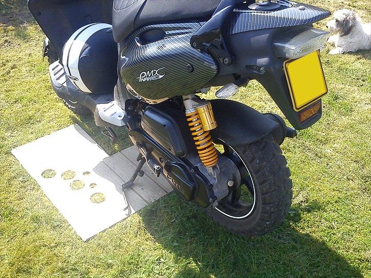 PGO PMX Naked Carbon billede 6