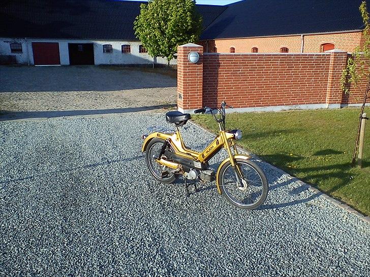 Puch Maxi S *solgt* billede 4