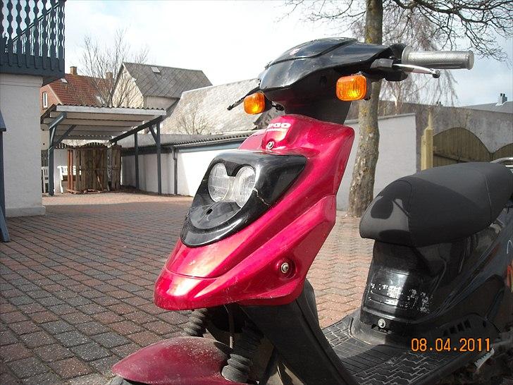 PGO Hot 50  ( solgt ) billede 6