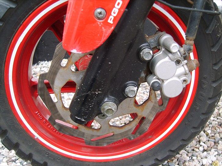 PGO hot 50 billede 17