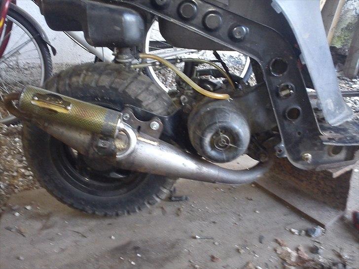 Piaggio typhoon billede 4