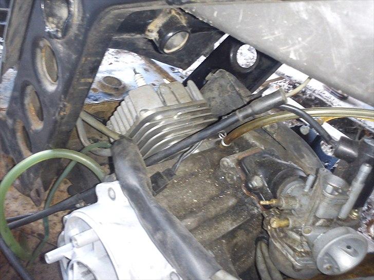 Piaggio typhoon billede 5