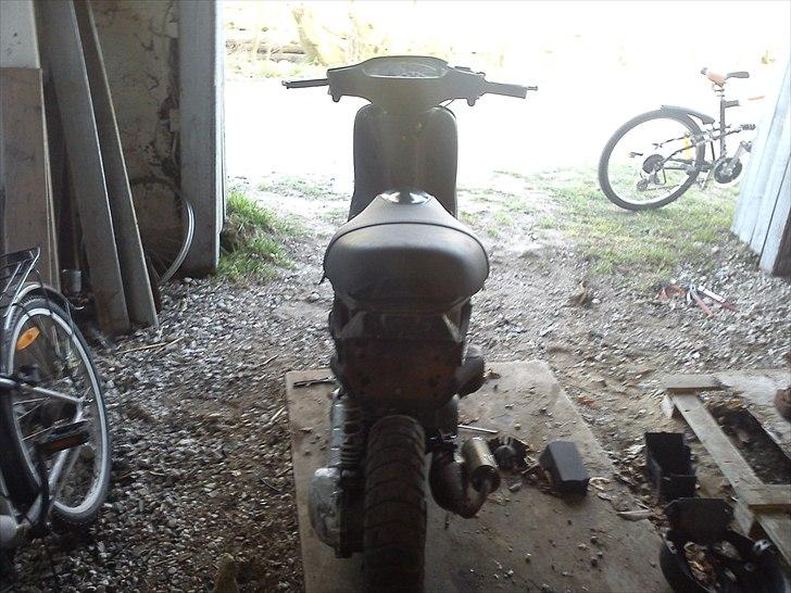 Piaggio typhoon billede 7