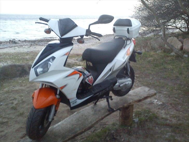 Exactly 50 solgt billede 4