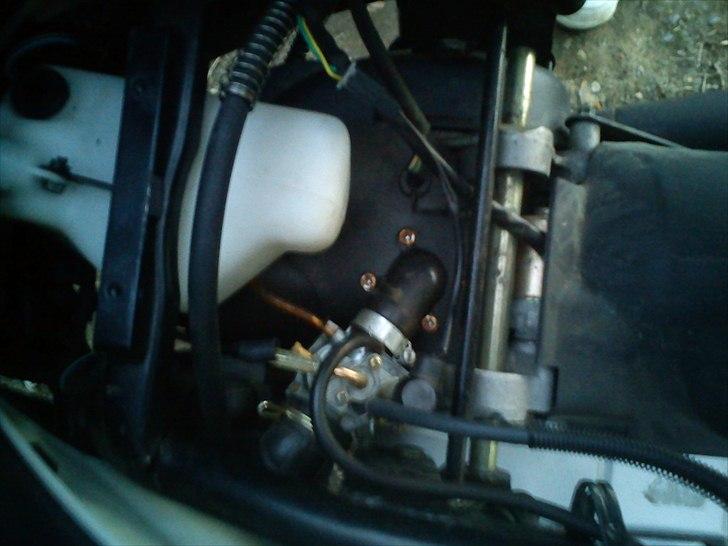 Exactly 50 solgt billede 8