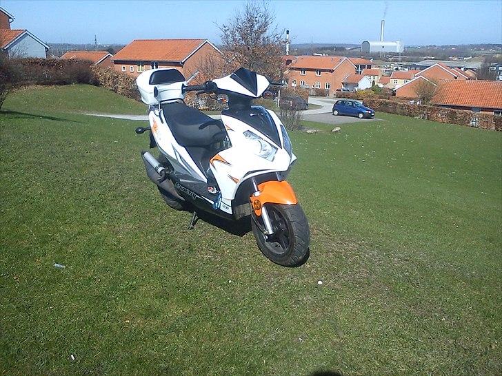 Exactly 50 solgt billede 11