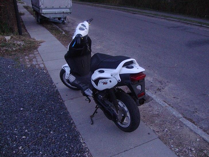 PGO PMX Sport billede 4