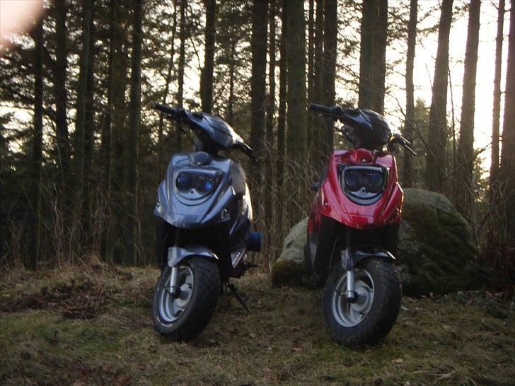 PGO HOT 50  billede 10