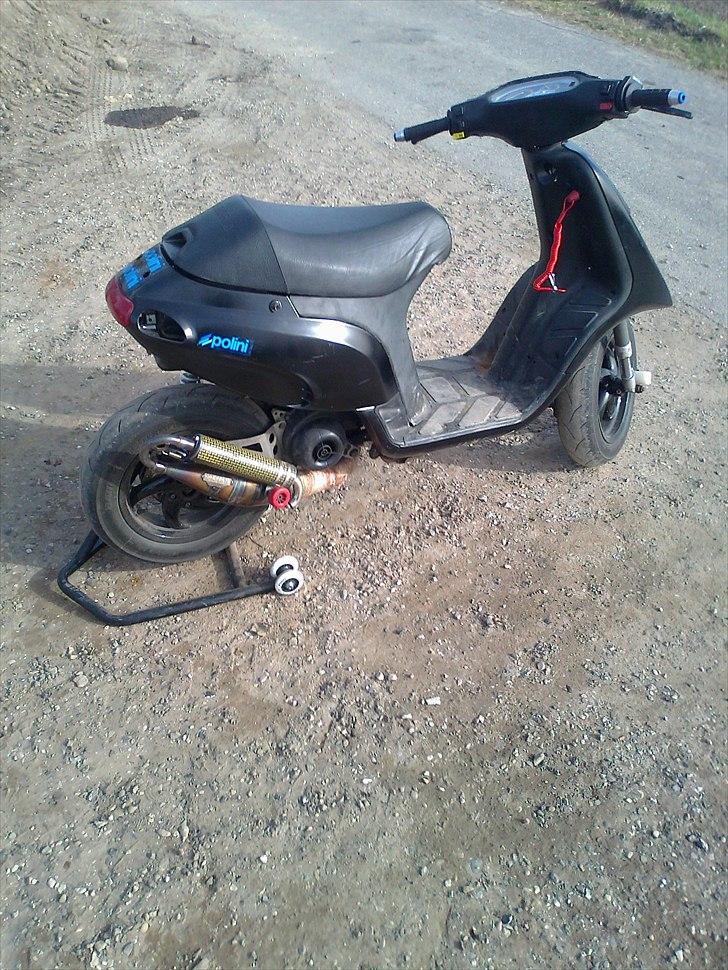 Piaggio typhoon/runner billede 3