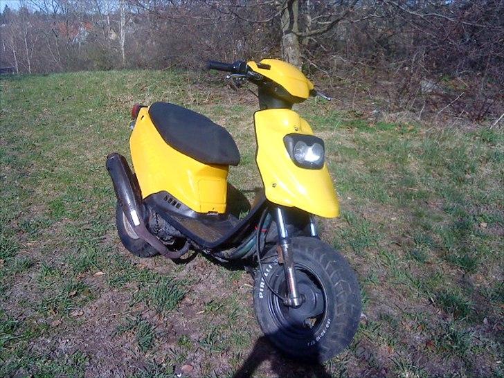 PGO Hot 50 Brumbaass billede 1