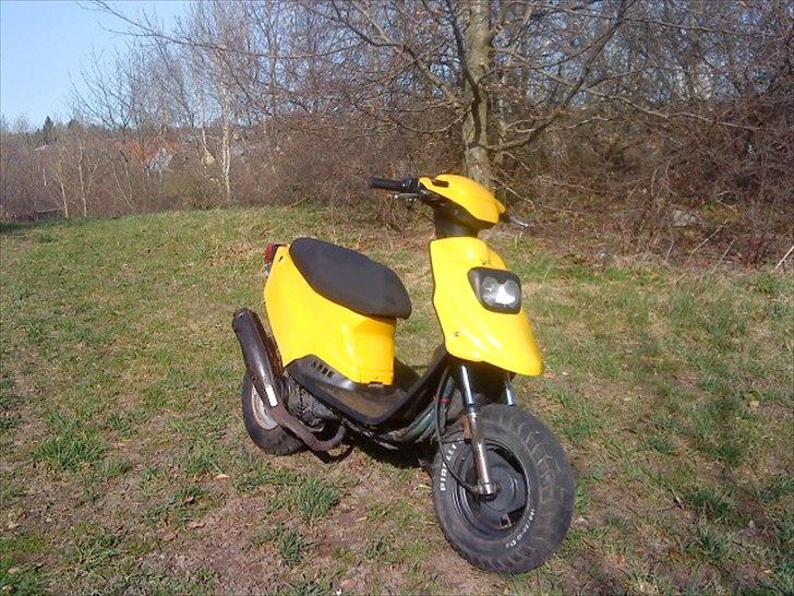 PGO Hot 50 Brumbaass billede 2