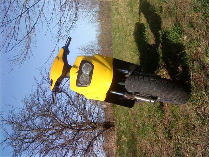 PGO Hot 50 Brumbaass billede 3