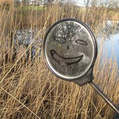 Tomos Quadro "MAJBRITT"