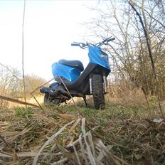 PGO hot 50     ( efter )