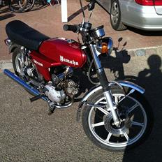 Yamaha Fs1 BYTTES til rieju