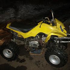 MiniBike 4hjulet crosser ( taget af panserne)