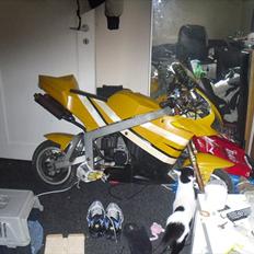 MiniBike mini moto ''stor''