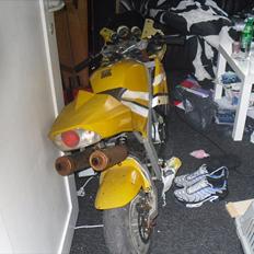 MiniBike mini moto ''stor''